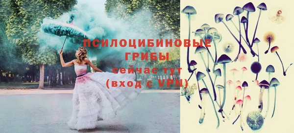 соль ск Абинск
