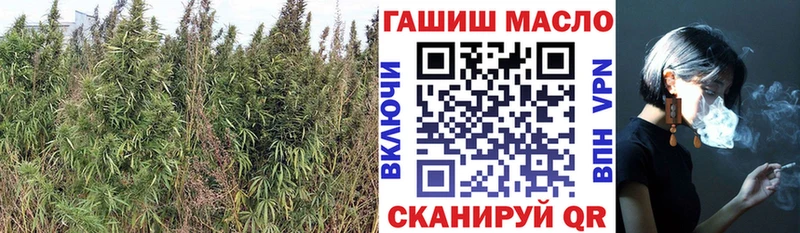 ТГК вейп  Тайга 