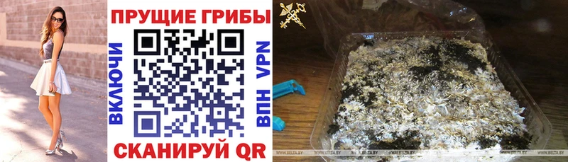 купить наркотики сайты  Тайга  Галлюциногенные грибы мухоморы 